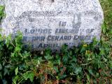 image of grave number 409812